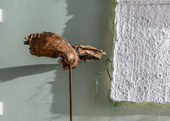 Апартаменти B-holiday Luxury Urban Plaza *